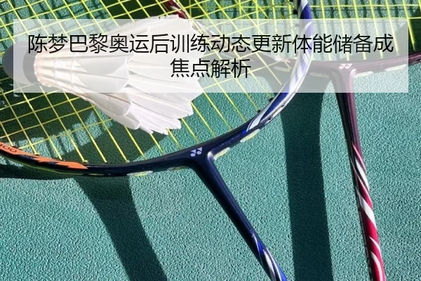 陈梦巴黎奥运后训练动态更新体能储备成焦点解析
